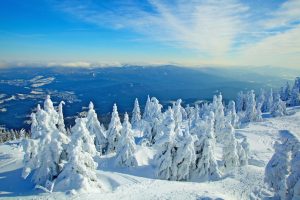 Winterlandschaft und bayerische Bergwelt