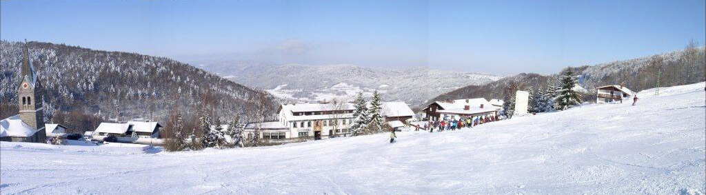 Panorama Landgasthof Ranzinger Bayerischer Wald | Winter-Aussicht