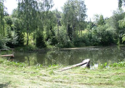 Teich Nahe des Panorama Landgasthofs Ranzinger im Bayerischen Wald